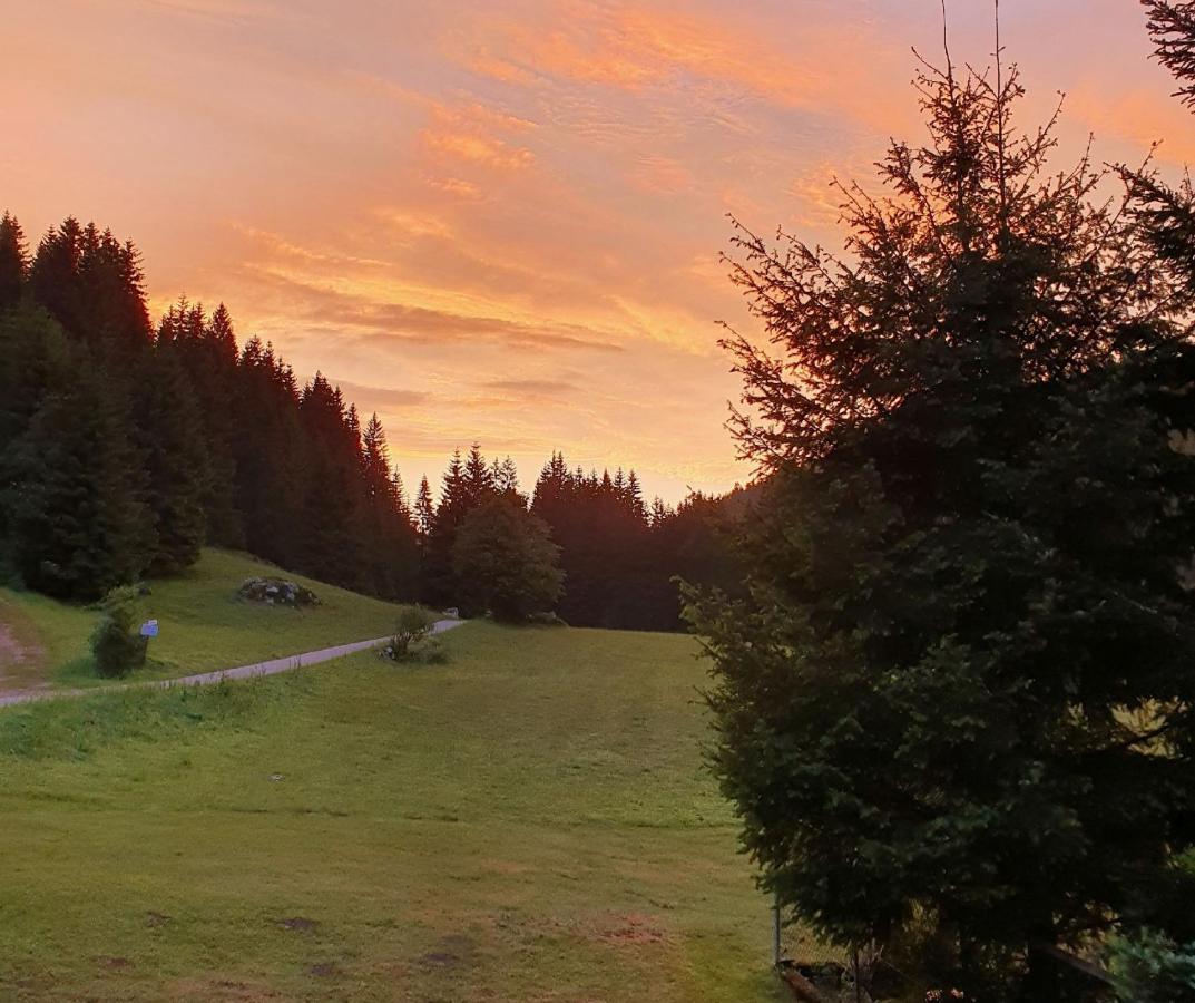 Finkenhof Schluchsee Exterior foto